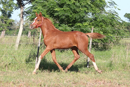 RO Don Juan